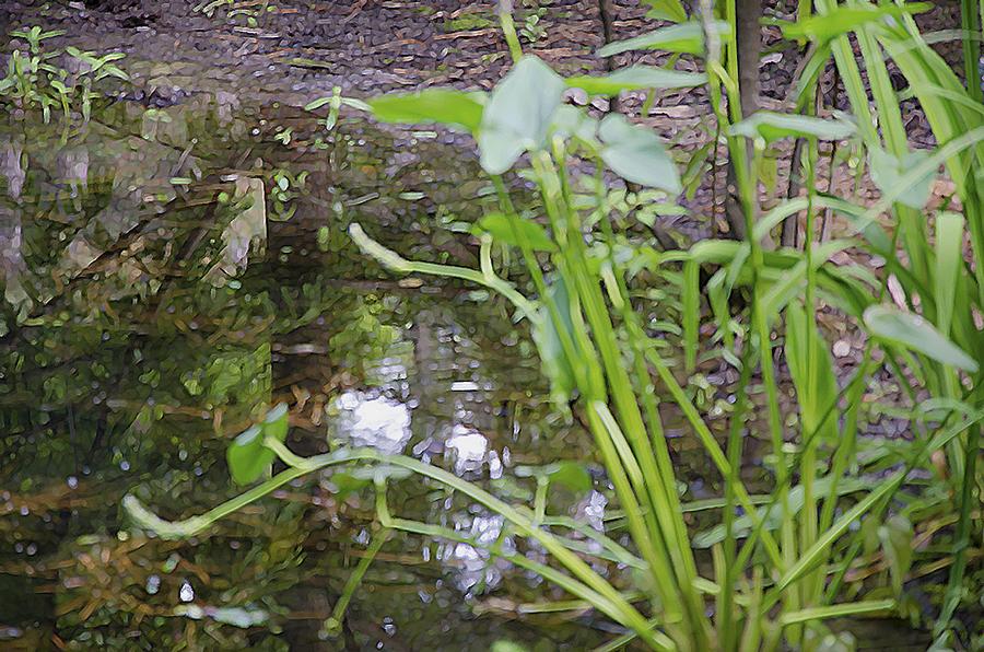 Summer Painting - Pond at Norfolk Botanical Garden 5 by Jeelan Clark