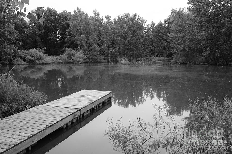 Summer Photograph - Pond Dock by Shawn Smith