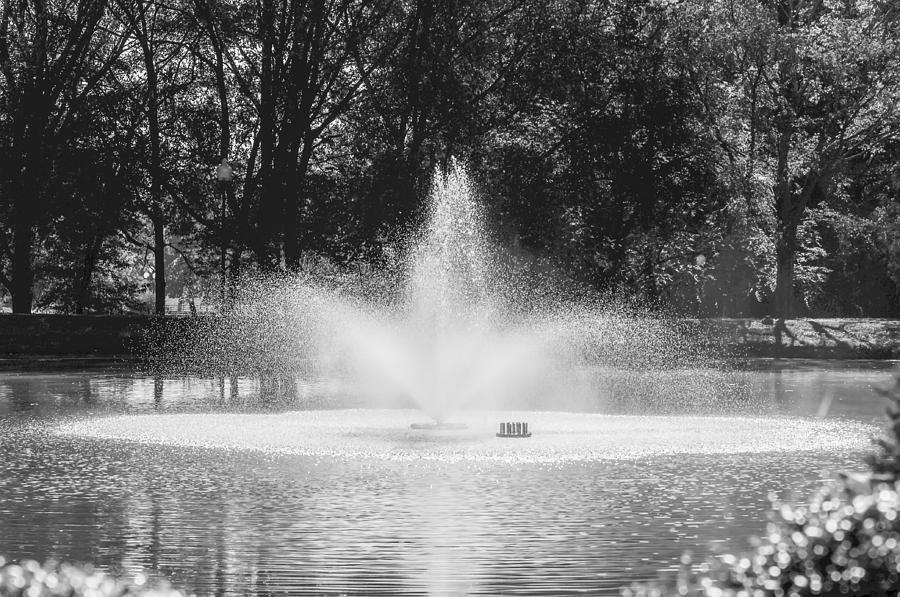 Pond Fountain Photograph by Alex Grichenko