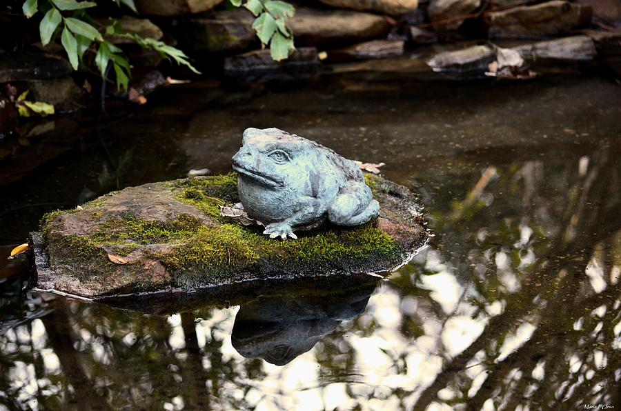 Pond Frog Statuette Photograph by Maria Urso