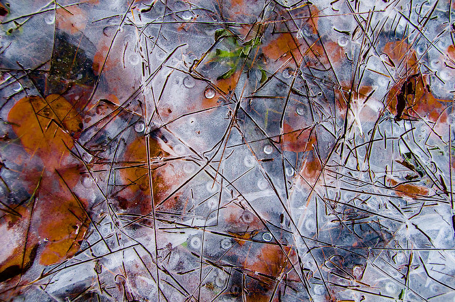 Pond Ice Art Photograph by Larry Goss