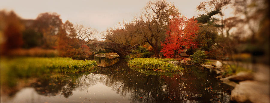 Pond In A Park, Central Park Photograph by Panoramic Images