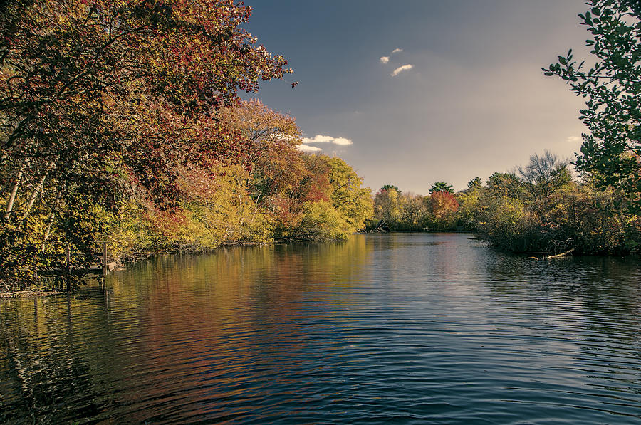 Pond In Autumn Photograph by Cathy Kovarik