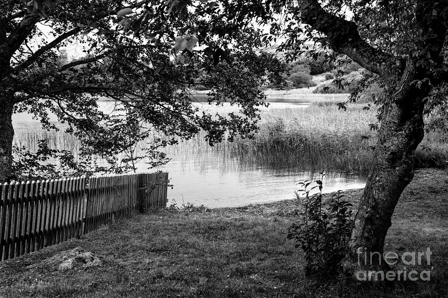 Pond in Back and White Photograph by Rick Bragan