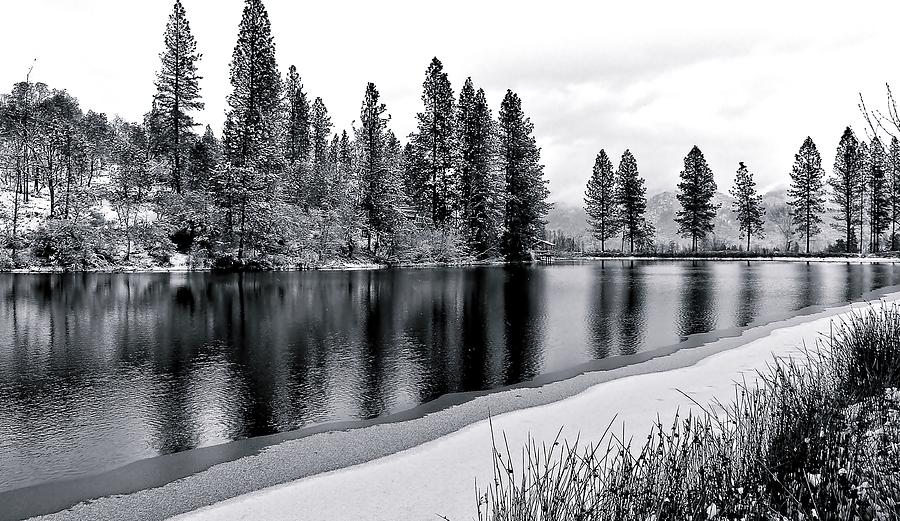 Pond In Snow Photograph by Julia Hassett