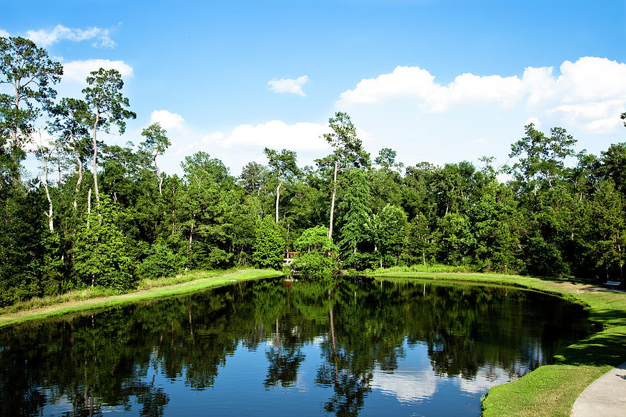 Nature Photograph - Pond In Texas Surrounded By Trees by Fstop123