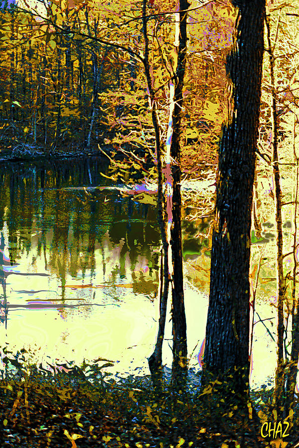 Pond in the Woods Painting by CHAZ Daugherty