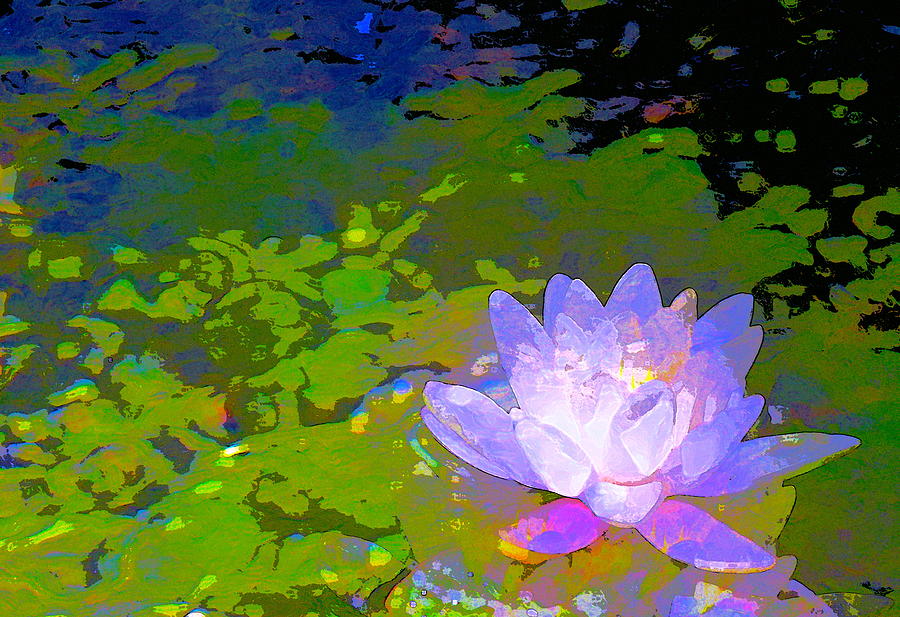 Pond Lily 29 Photograph by Pamela Cooper