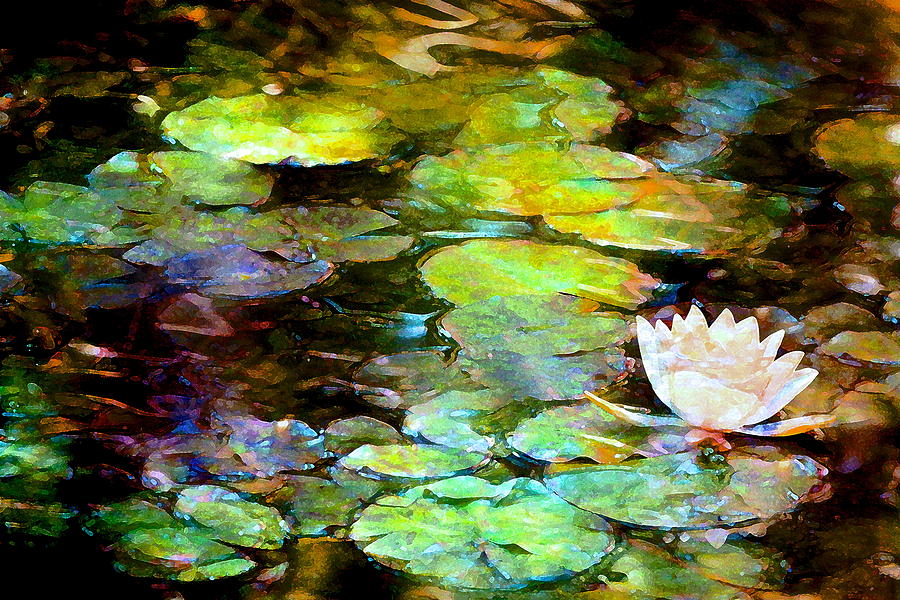 Pond Lily 30 Photograph by Pamela Cooper