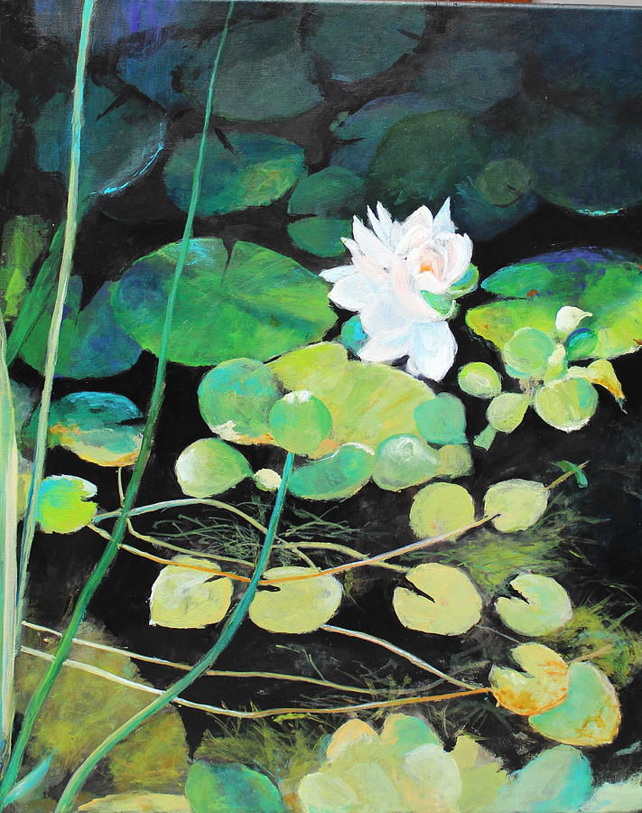 Pond Magic 3 Painting by M Diane Bonaparte