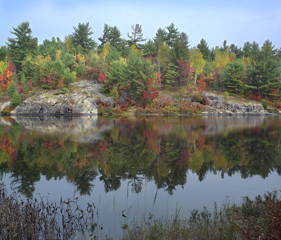 Pond Near French River Ontario Canada Photograph by Tim Fitzharris