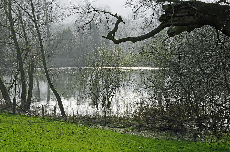 Pond near Home Farm - Ilam Photograph by Rod Johnson