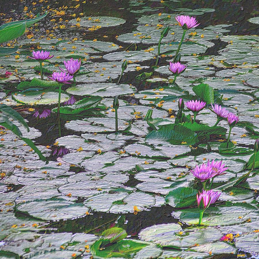 Pond of Flowers in Colored Pencil Drawing by Richard Zentner