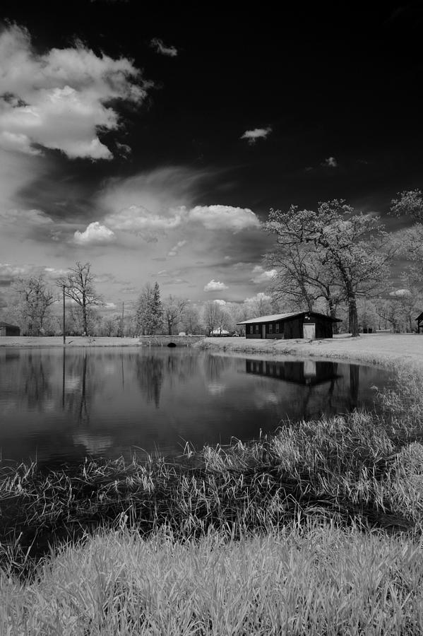 Pond Reflection Photograph by Jamieson Brown