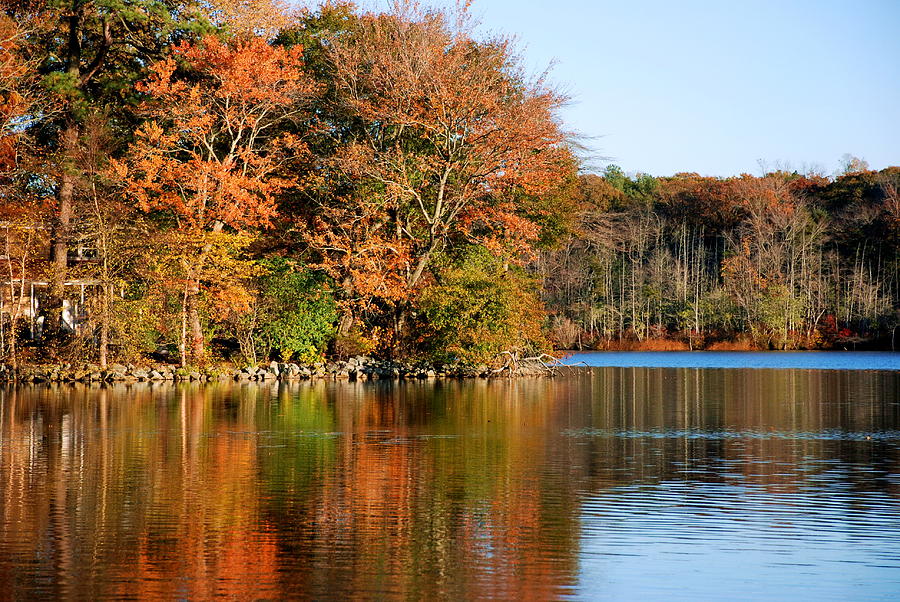 Pond Reflections Photograph by Francie Davis - Fine Art America