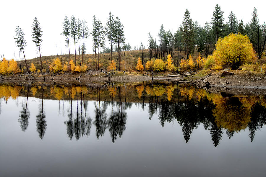 Pond Reflections in Autumn Photograph by Allan Van Gasbeck