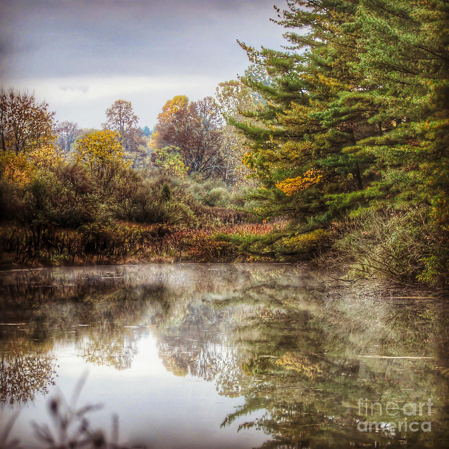 Pond Reflections Photograph by Kerri Farley