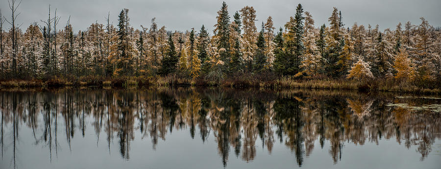 Pond Reflections Photograph by Paul Freidlund
