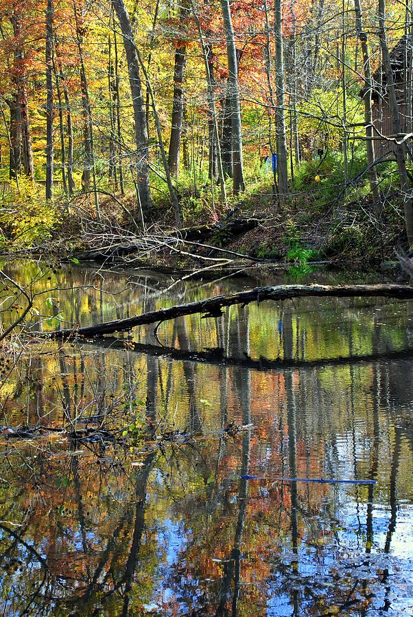 Pond Reflects Photograph by Frozen in Time Fine Art Photography | Fine ...