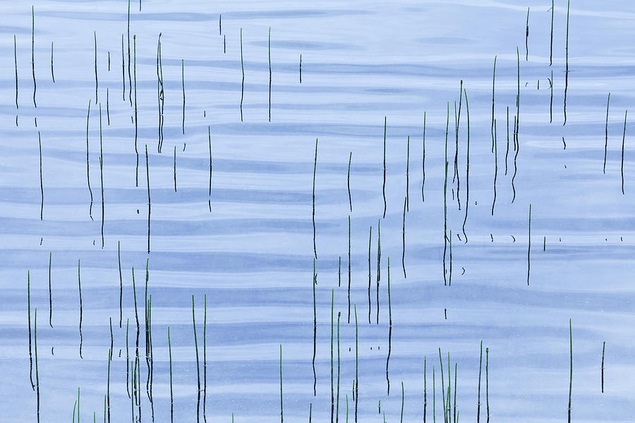 Pond Ripples Photograph by Alan L Graham