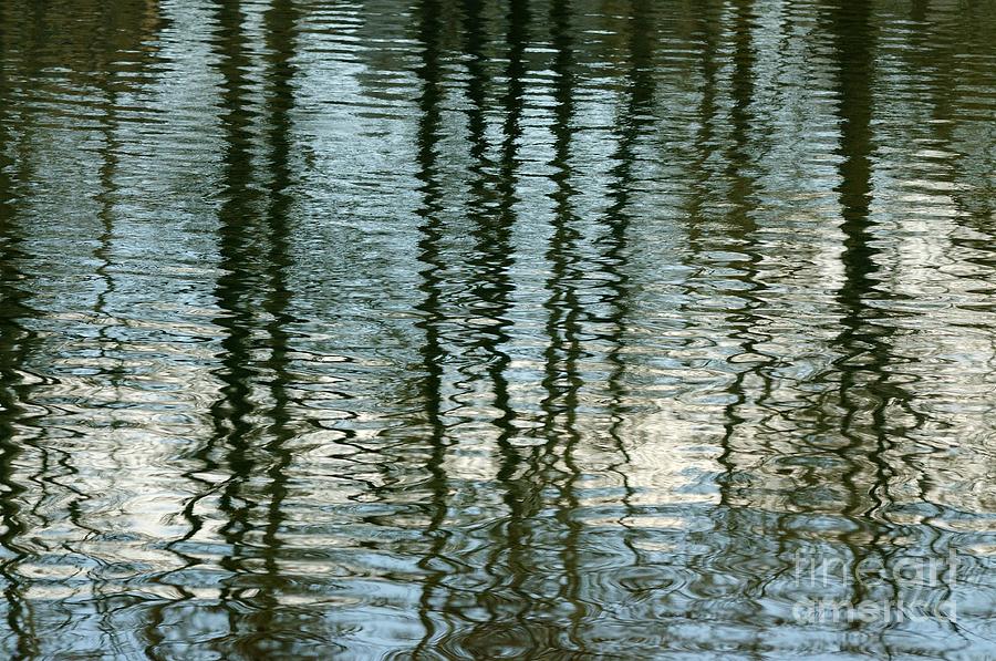 Pond Ripples and Reflections Photograph by Vivian Christopher