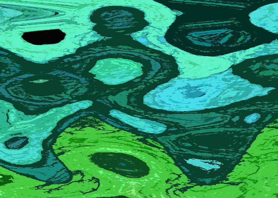 Pond Scum 1 Digital Art by Gary Olsen-Hasek