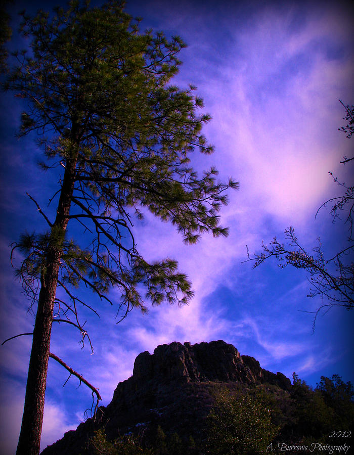 Prescott National Forest Photograph - Ponderosa and Thumb Butte by Aaron Burrows