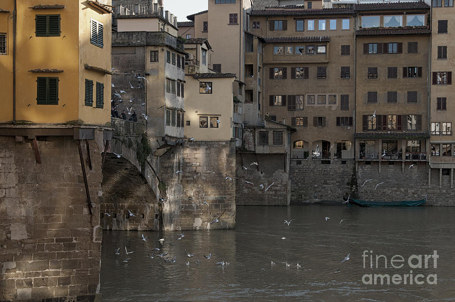 Ponte Vecchio Photograph - Ponte Vecchio bridge by Leonardo Fanini