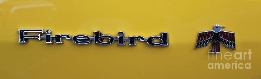 Pontiac Firebird Photograph by Reid Callaway