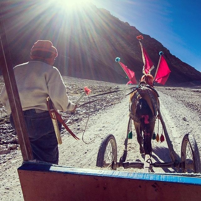 Ebc Photograph - Pony Kart Ride To Everest by Hitendra SINKAR