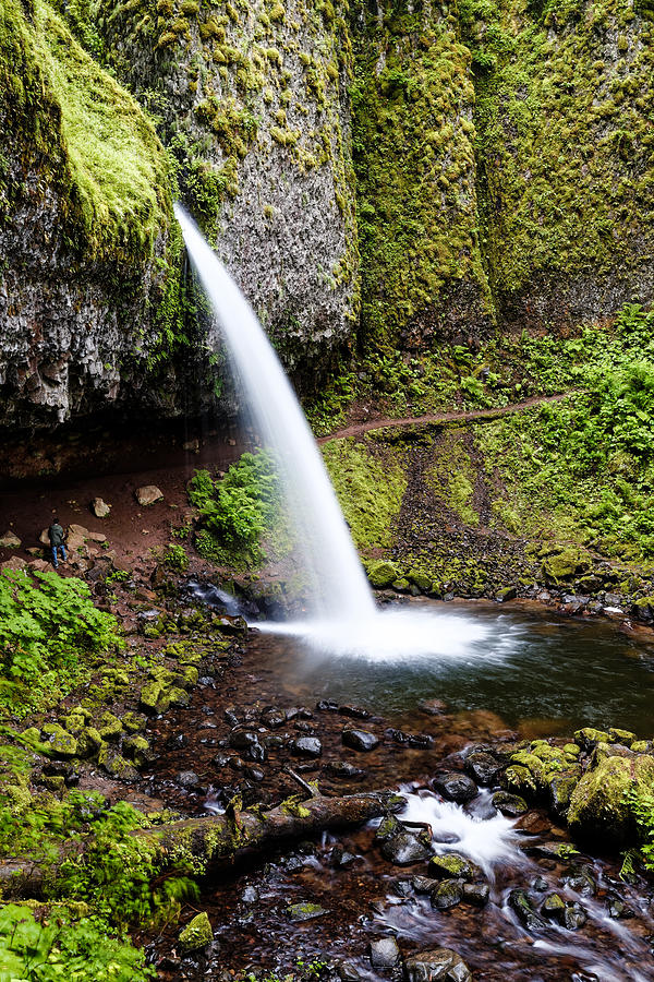Ponytail  Falls - Columbia River Gorge Oregon Photograph by Silvio Ligutti
