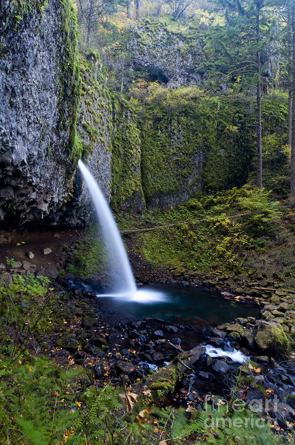 Ponytail Falls In The Columbia River Photograph by William H. Mullins