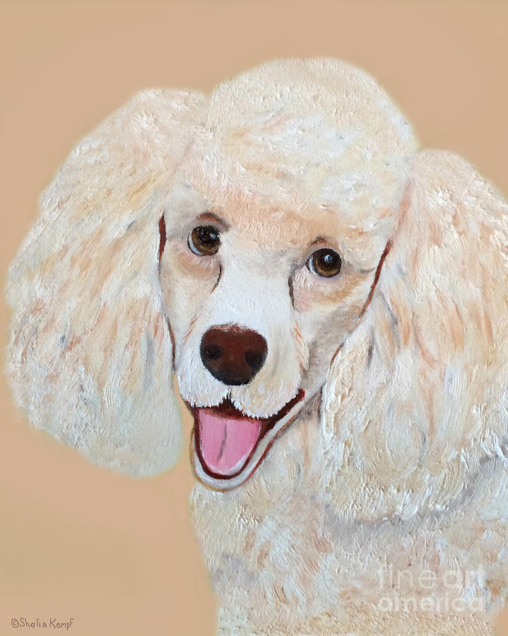 Poodle Art Print Painting by Shelia Kempf