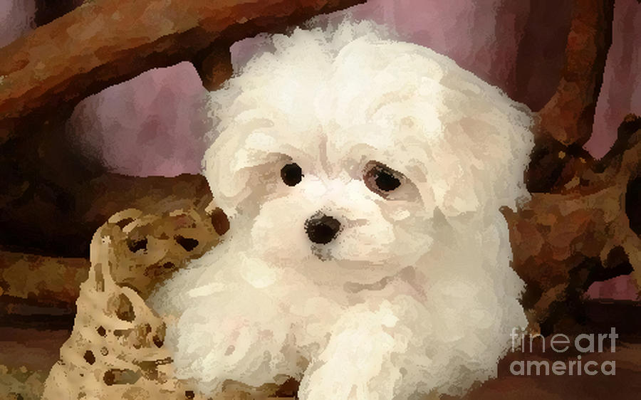 Poodle Puppy Painting Mixed Media by Marvin Blaine