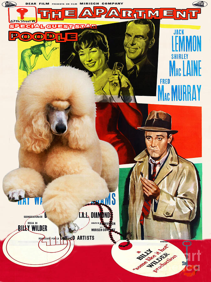 Poodle Standard Art - The Apartment Movie Poster Painting by Sandra Sij ...