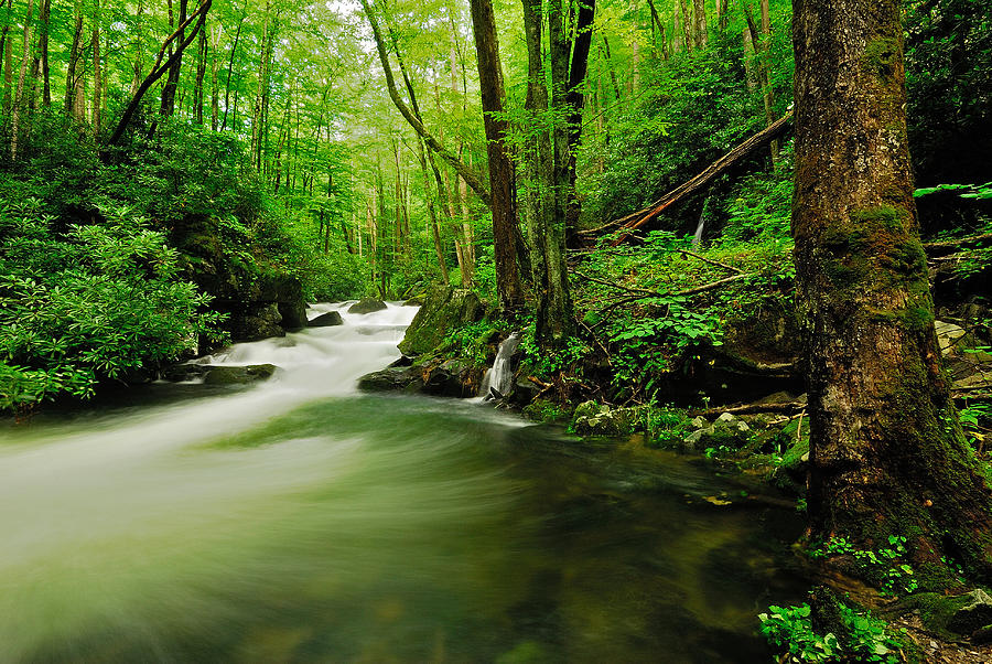 Pool in Little River Photograph by Stefan Carpenter - Fine Art America