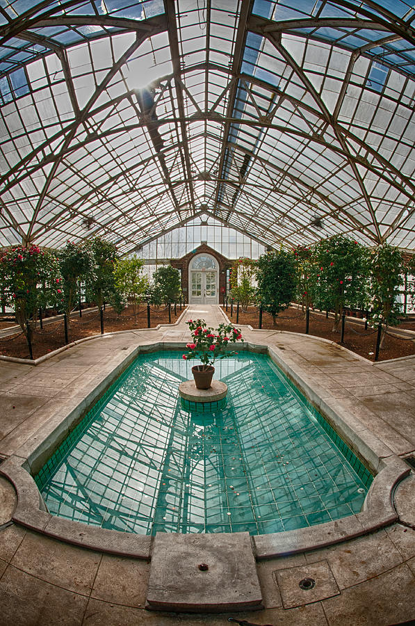 Pool in the Greenhouse  Photograph by Roni Chastain