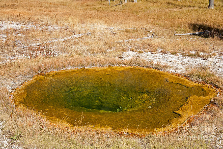 Pool in Upper Geyser Basin in Yellowstone National Park Photograph by Fred Stearns