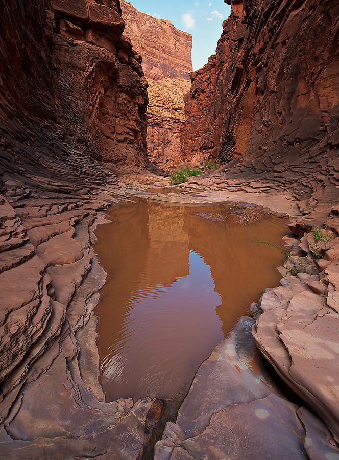 Pool of North Canyon Photograph by Britt Runyon