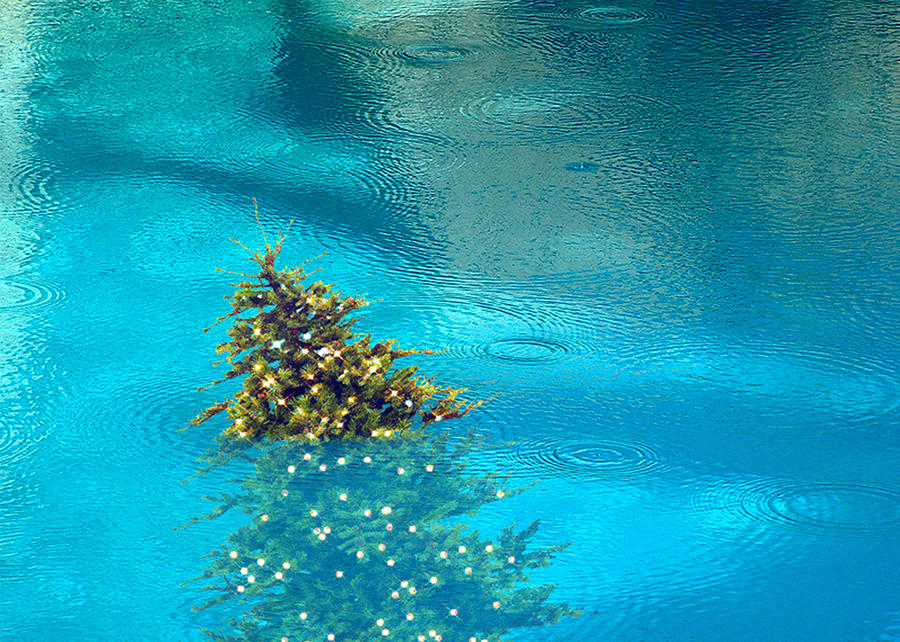 Christmas Digital Art - Pool with Tree by Stan  Magnan