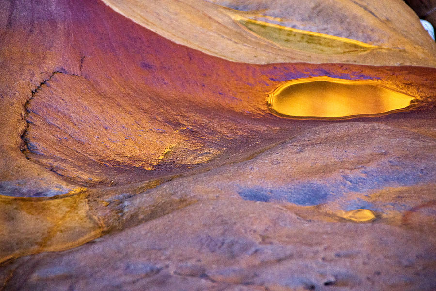 Pools Of Gold Iii Photograph By David Pringle