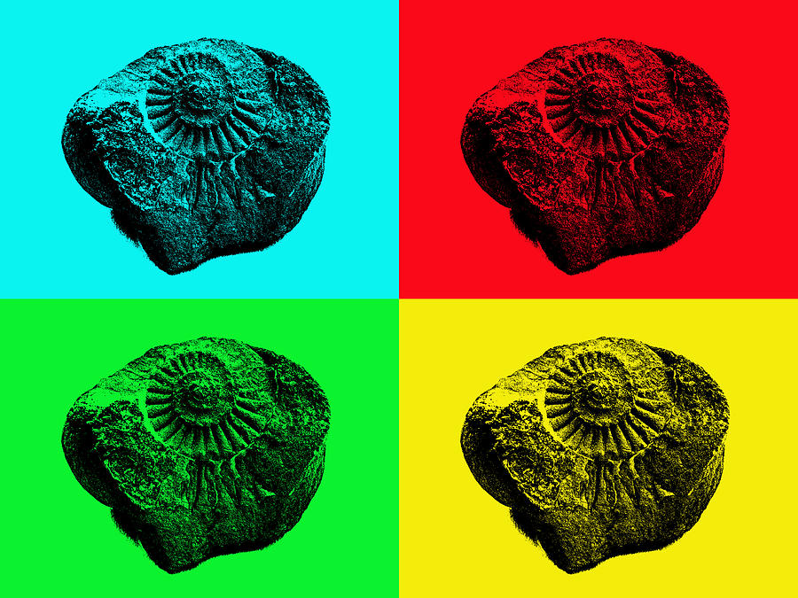 Prehistoric Photograph - Pop Art Ammonite by Robert Gipson