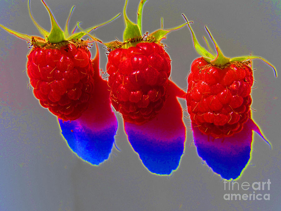 Pop Art Raspberries Photograph