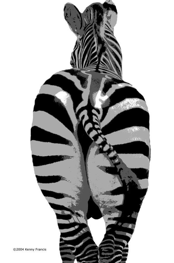 Pop Art Zebra Photograph by Kenny Francis