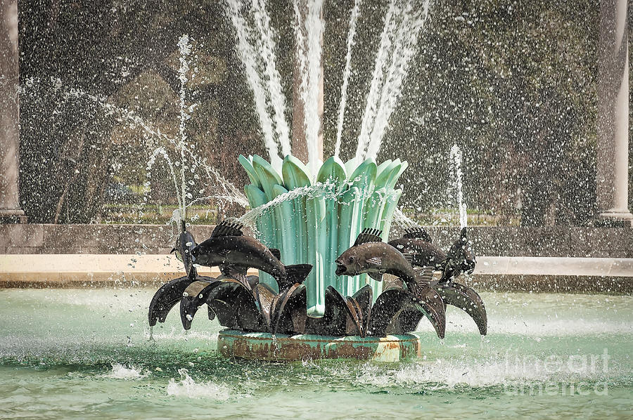 Popp Fountain in City Park New Orleans Photograph by Kathleen K Parker