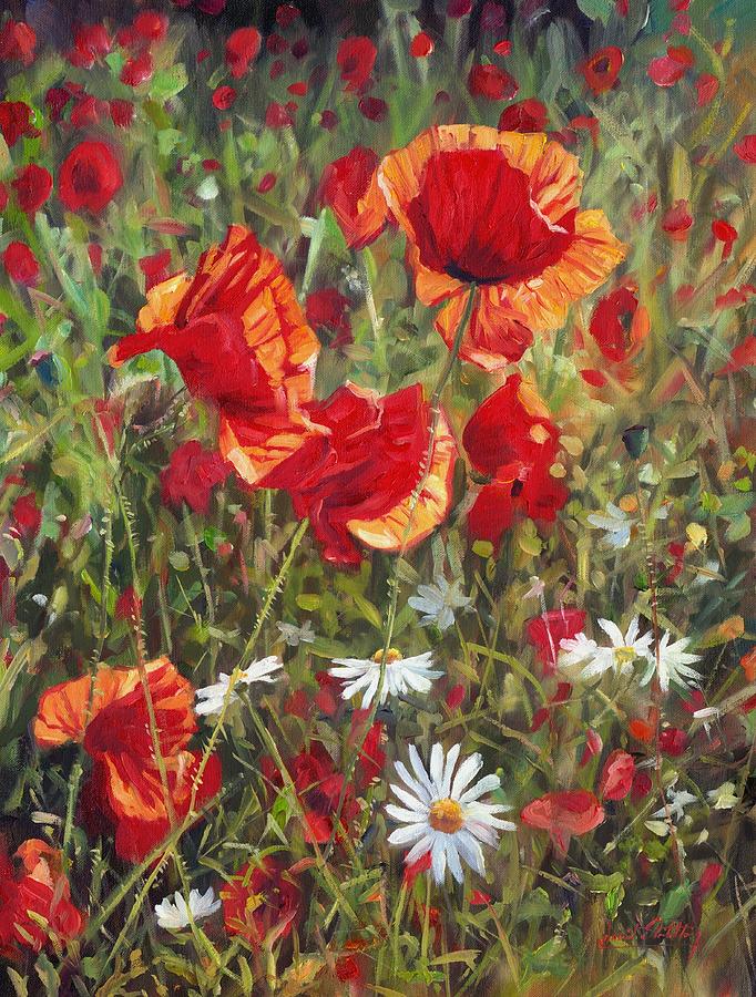 Poppie and Daisies Painting by David Stribbling