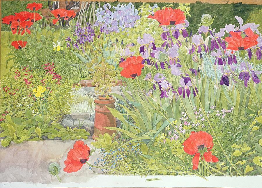 Poppies And Irises Near The Pond Photograph by Linda Benton