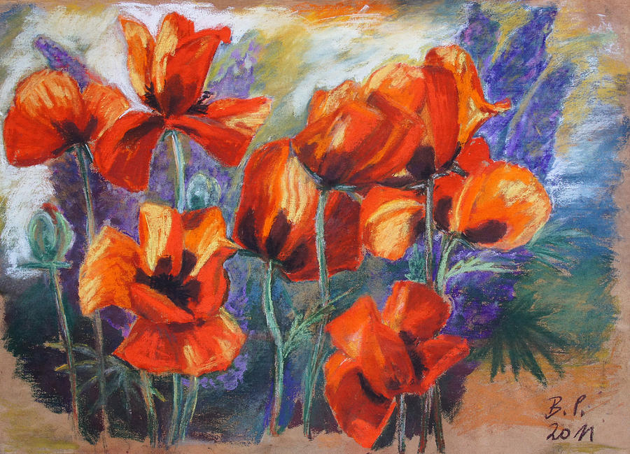 Poppies And Lupines Drawing by Barbara Pommerenke