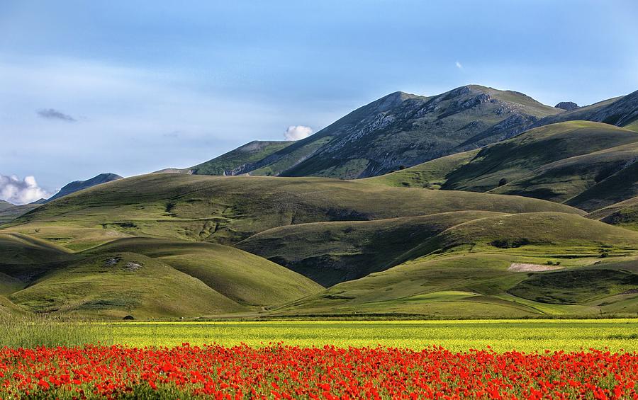 Poppies And Mountains Photograph by Photographer Antonio Zaccagnino