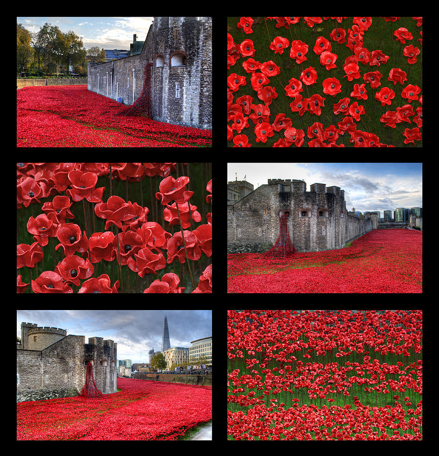 Poppies at the Tower Collage Photograph by Chris Day